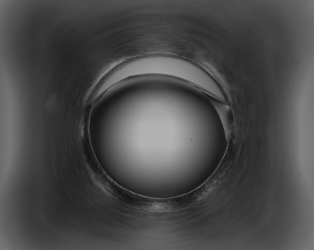 X0000086960060200705071344