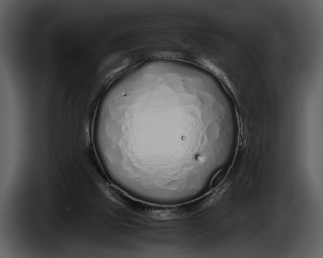 X0000086960061200705071344