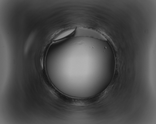 X0000086960062200705071344