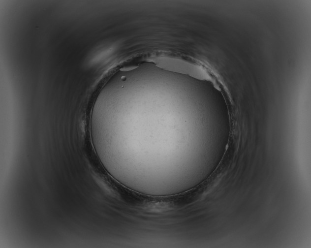 X0000086960063200705071344