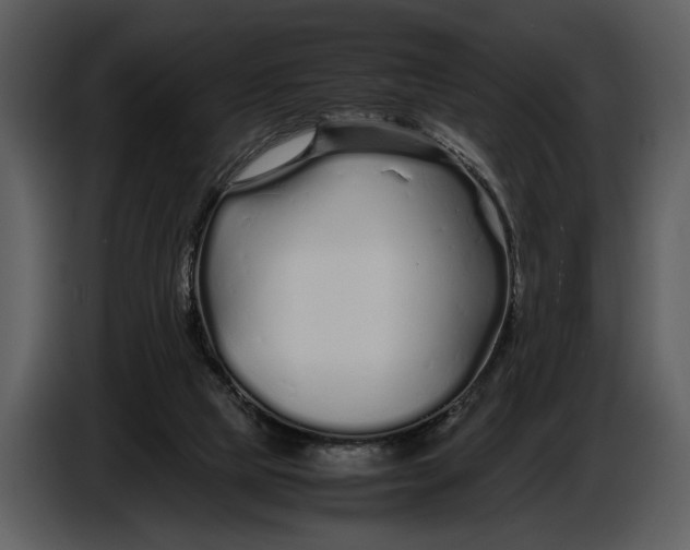 X0000086960065200705071344
