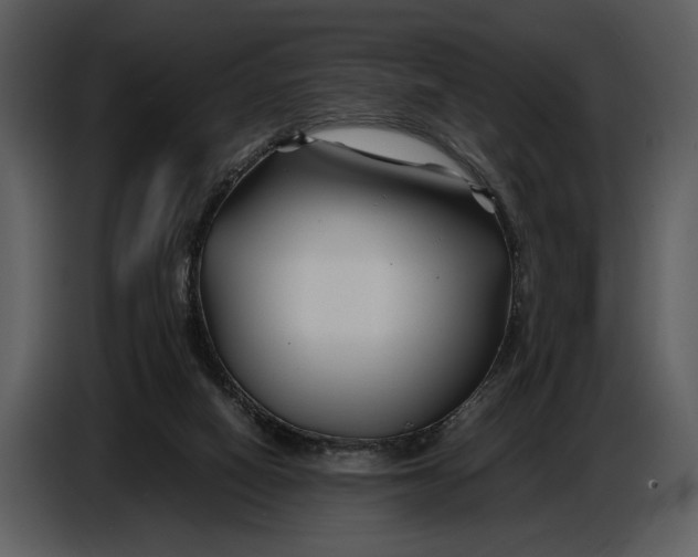 X0000086960066200705071344