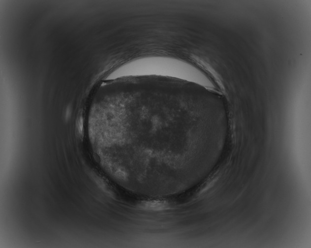 X0000086960067200705071344