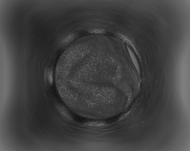 X0000086960069200705071344