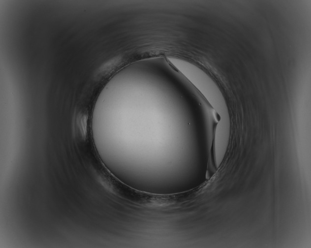 X0000086960070200705071344
