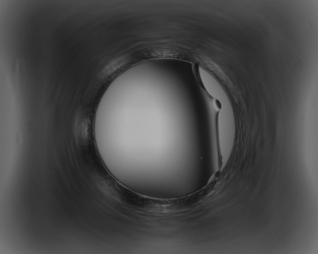 X0000086960071200705071344