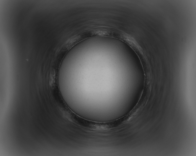 X0000086960073200705071344
