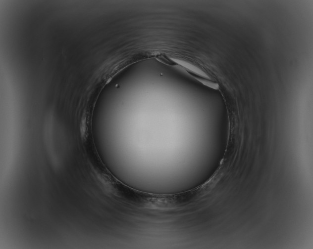 X0000086960074200705071344
