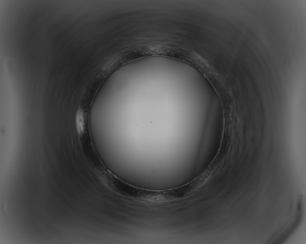 X0000086960075200705071344