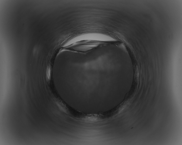 X0000086960076200705071344