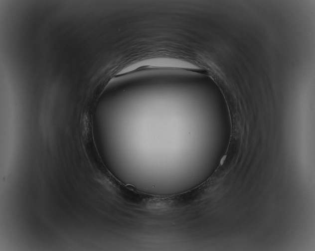 X0000086960077200705071344