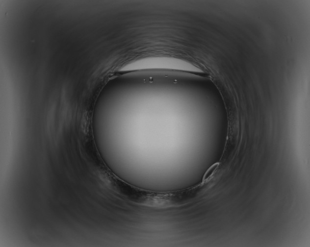 X0000086960078200705071344
