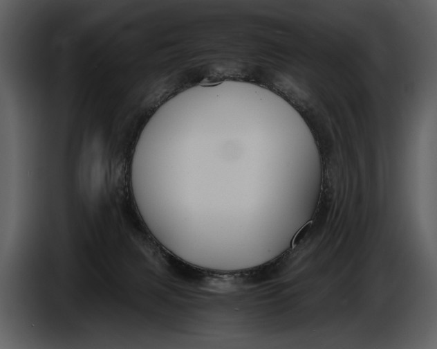 X0000086960079200705071344