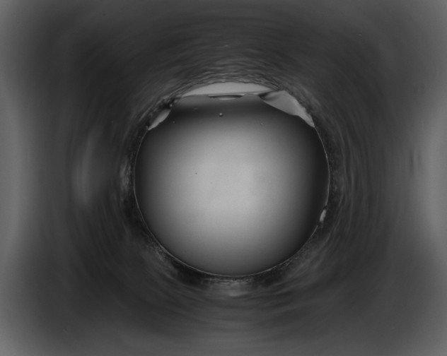 X0000086960081200705071344
