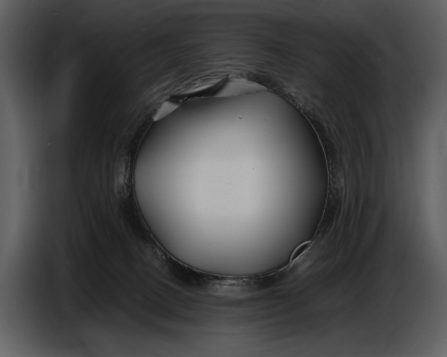 X0000086960082200705071344