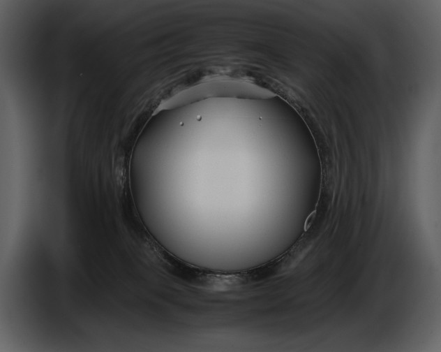 X0000086960085200705071345