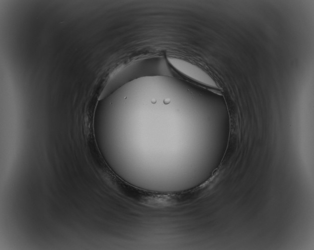 X0000086960086200705071345