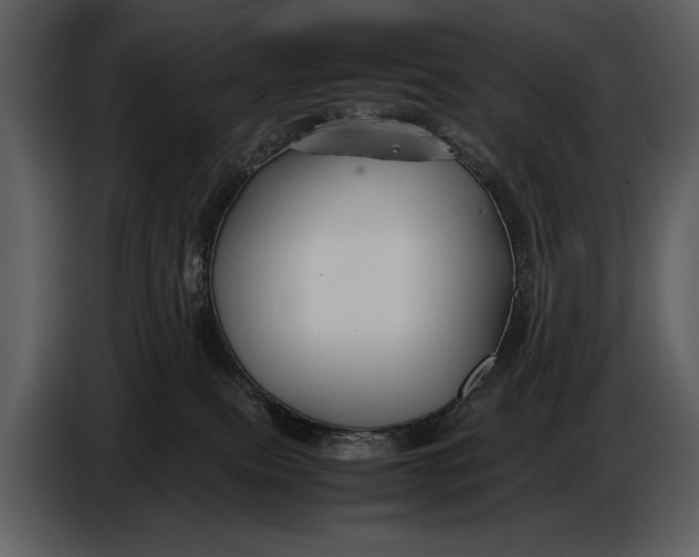 X0000086960087200705071345