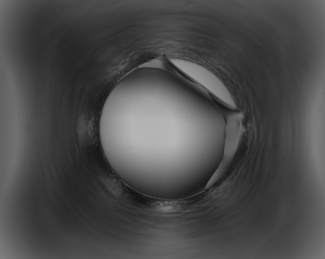 X0000086960088200705071345