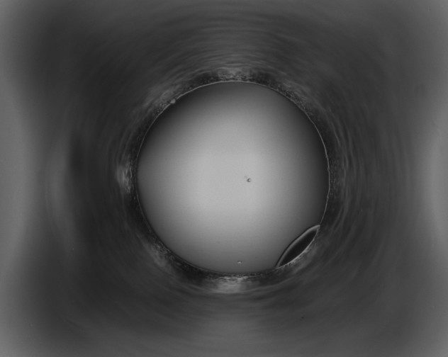 X0000086960090200705071345