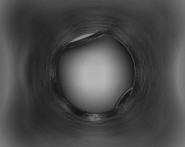 X0000086960091200705071345