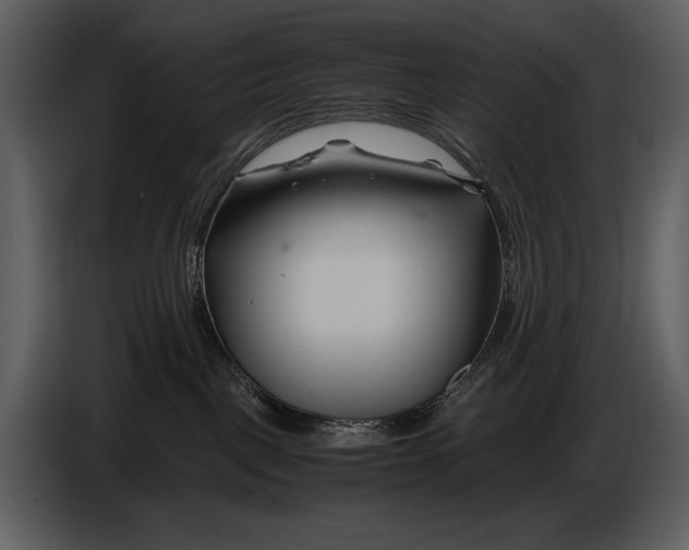 X0000086960093200705071345