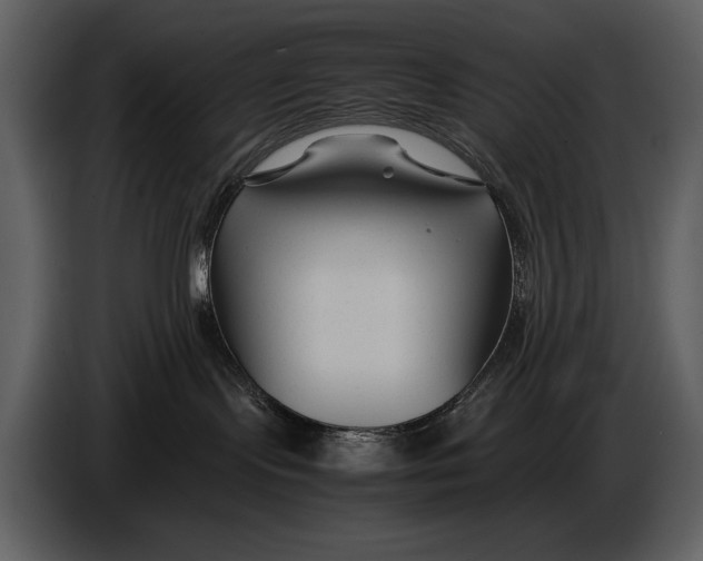 X0000086960095200705071345