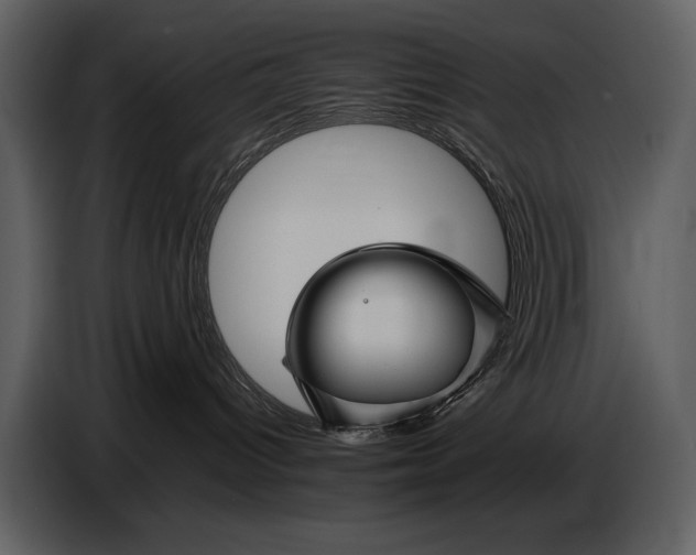 X0000086960096200705071345