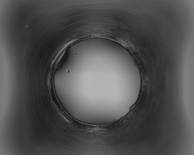 X0000086960098200705071344