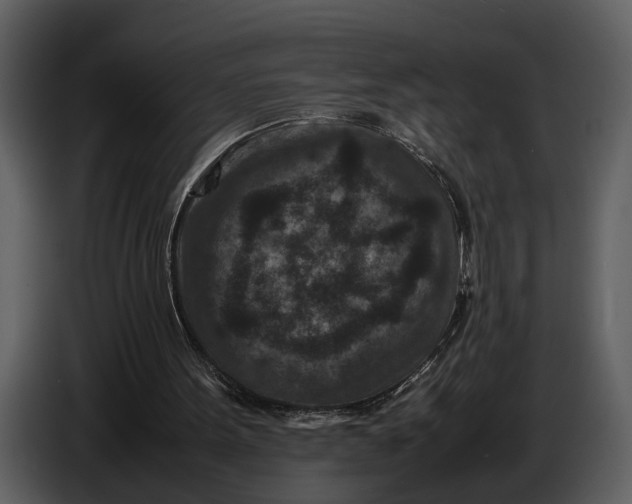 X0000086960099200705071344