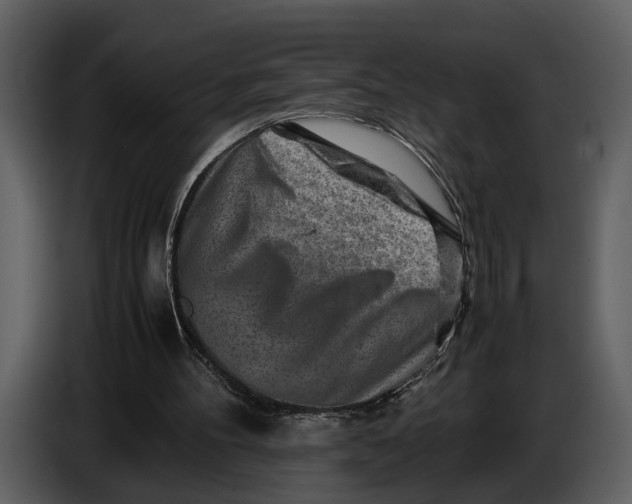 X0000086960100200705071344