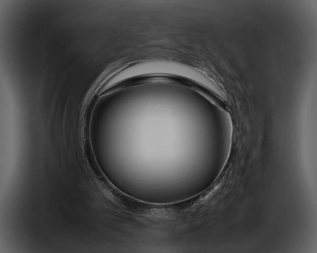 X0000086960101200705071344