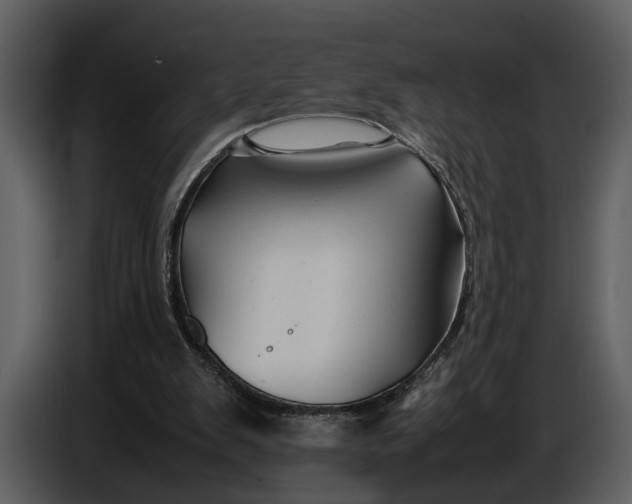 X0000086960103200705071344