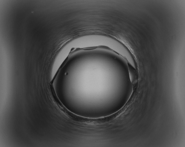 X0000086960105200705071344