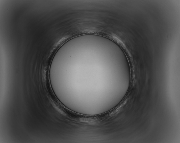 X0000086960106200705071344