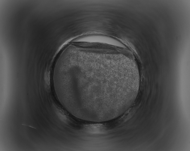 X0000086960108200705071344