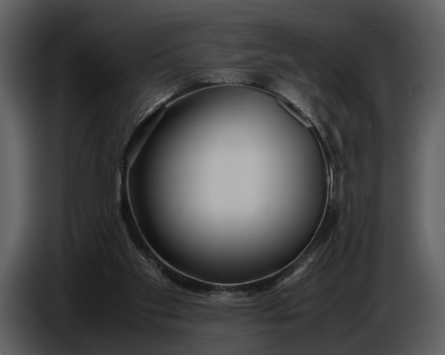 X0000086960109200705071344