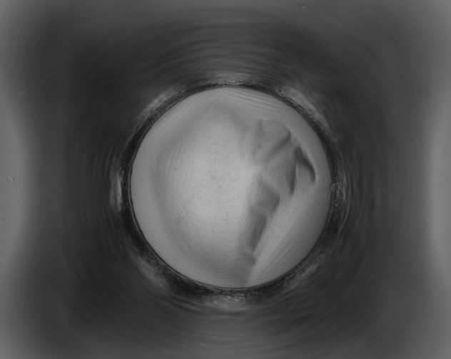 X0000086960110200705071344