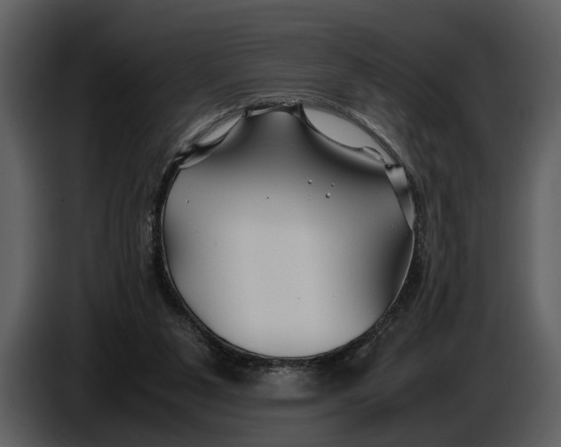 X0000086960111200705071344