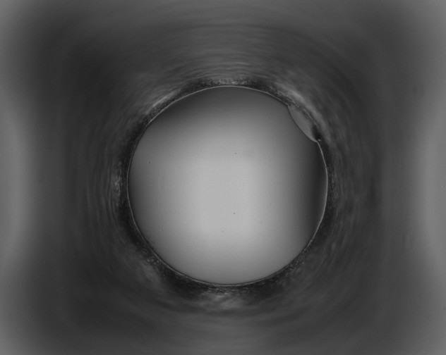 X0000086960113200705071344
