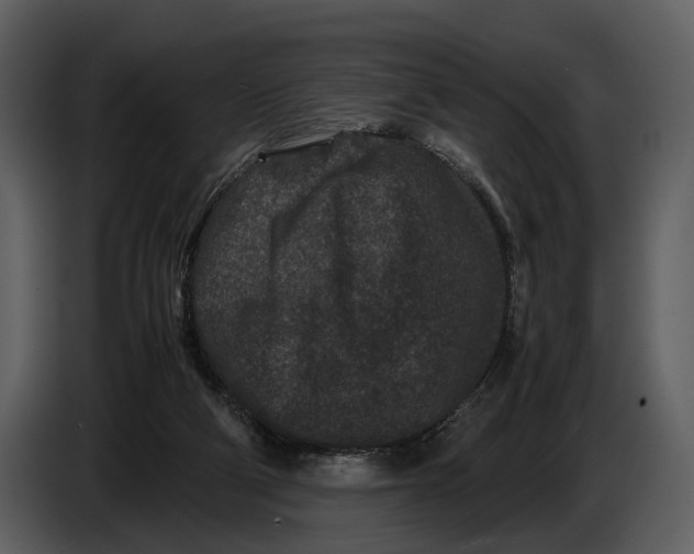 X0000086960114200705071344