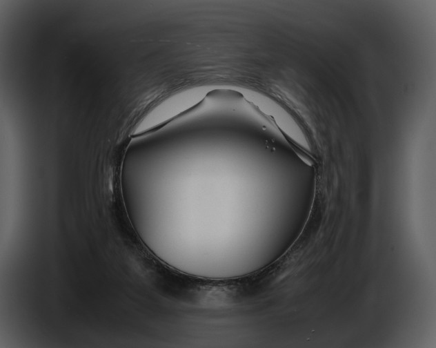 X0000086960115200705071344