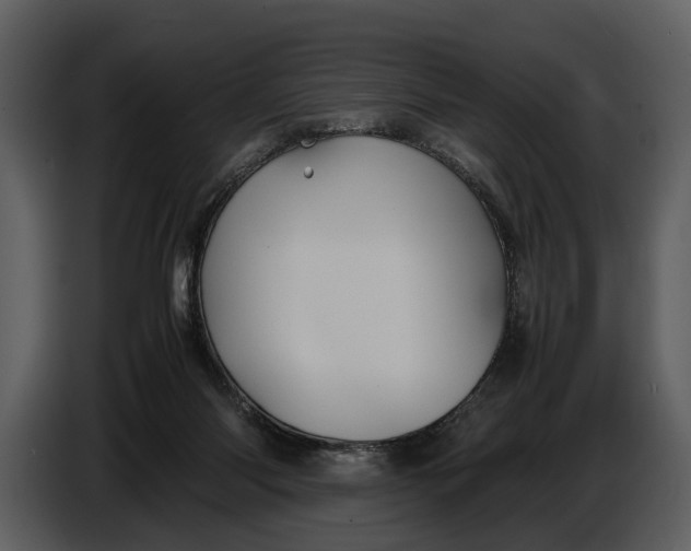 X0000086960118200705071344