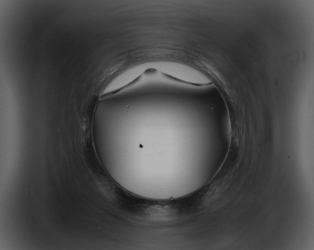 X0000086960119200705071344