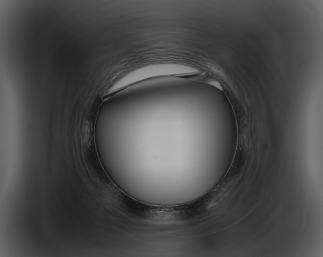 X0000086960121200705071344
