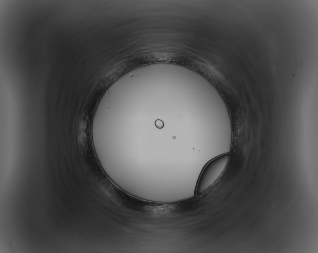 X0000086960122200705071344
