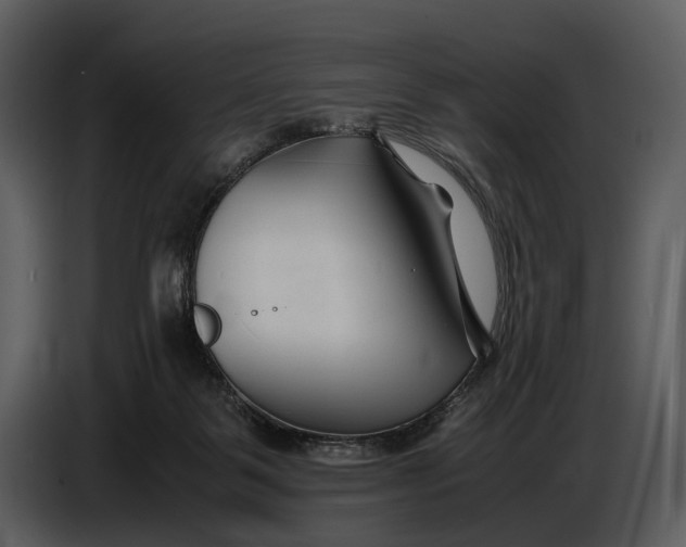 X0000086960123200705071344