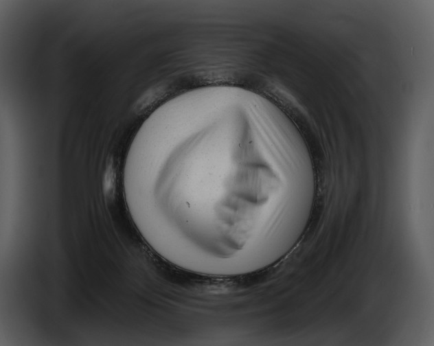 X0000086960124200705071344
