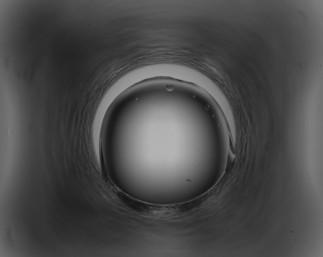 X0000086960125200705071344
