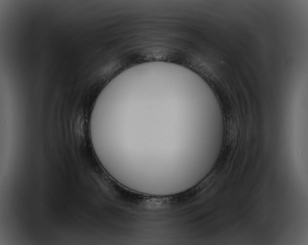 X0000086960126200705071344